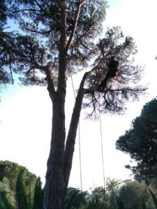Ávila Bio Residuos
